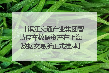 镇江交通产业集团智慧停车数据资产在上海数据交易所正式挂牌